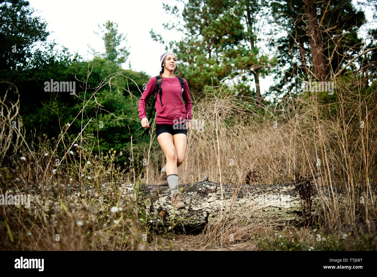 Female hiker walking in nature hi-res stock photography and images - Alamy
