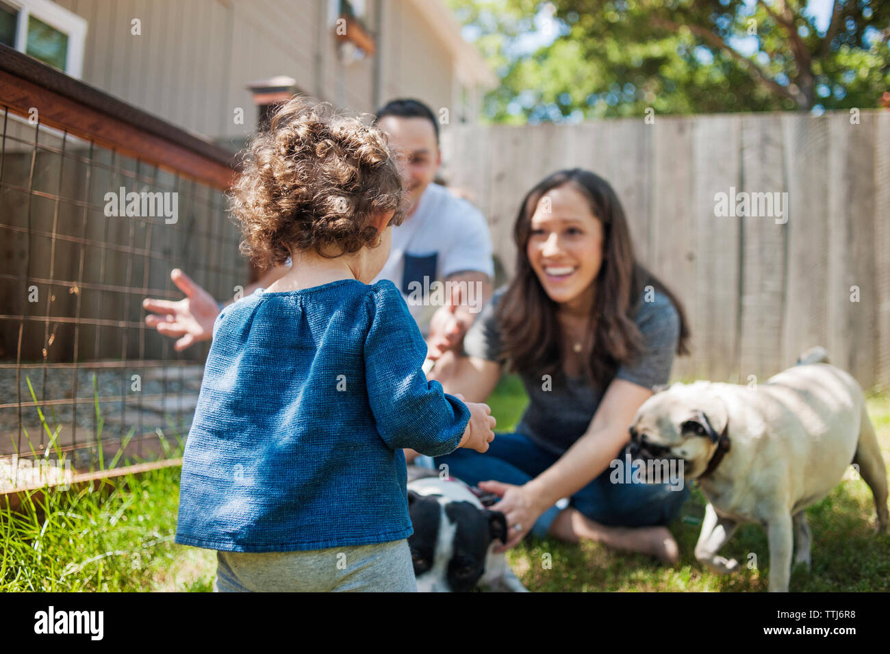 Happy family with dogs enjoying in backyard Stock Photo