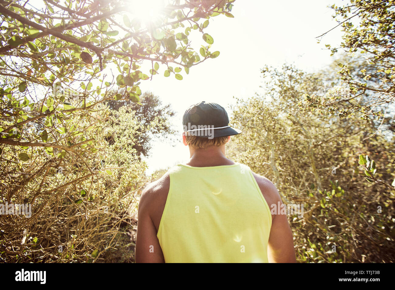 Man standing in forest hi-res stock photography and images - Alamy
