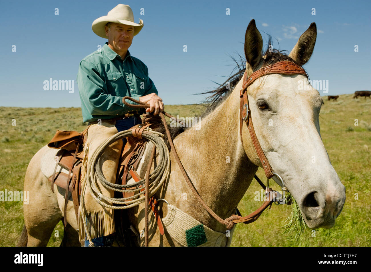 Man sitting on horse against sky Stock Photo