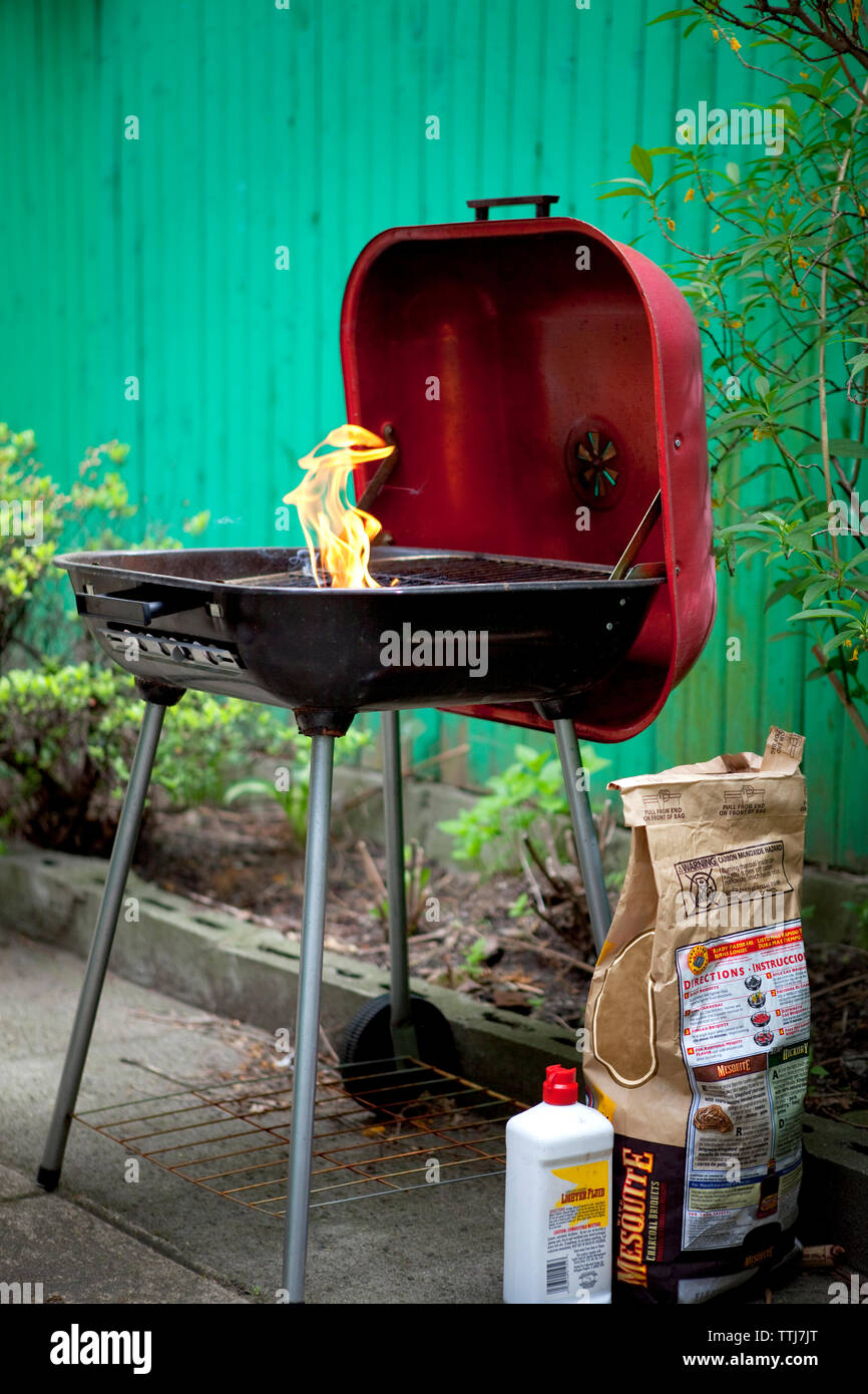 Barbecue grill at backyard Stock Photo - Alamy