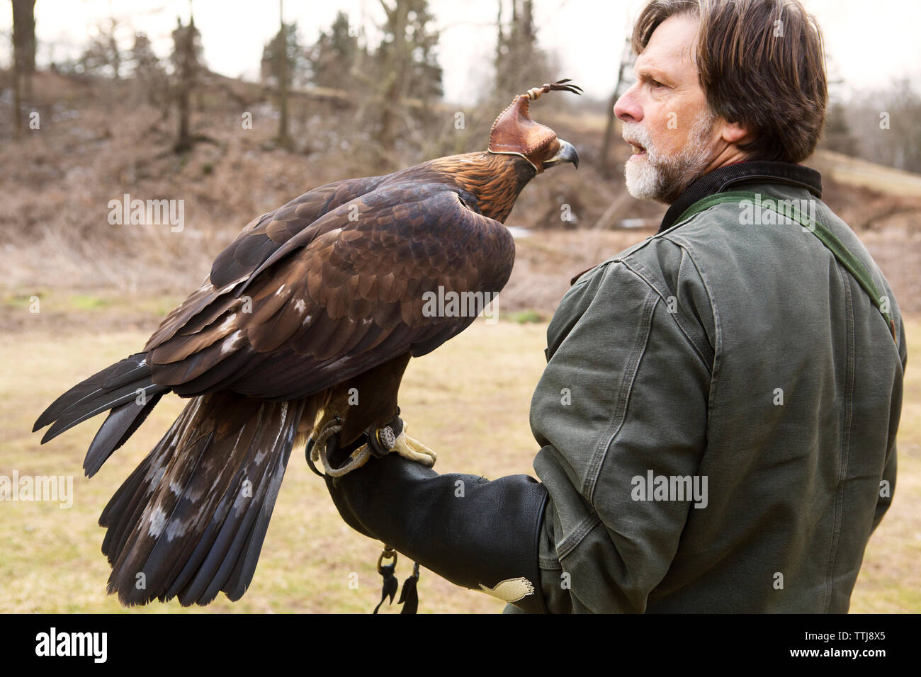 Caretaker looking away while bird perching on hand Stock Photo