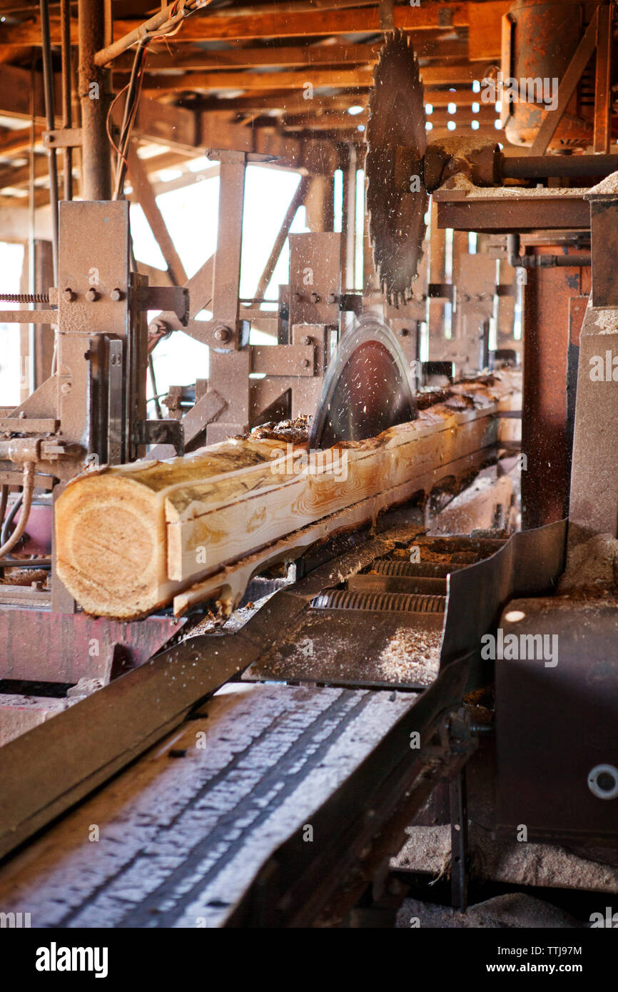 Wood cutter hi-res stock photography and images - Alamy