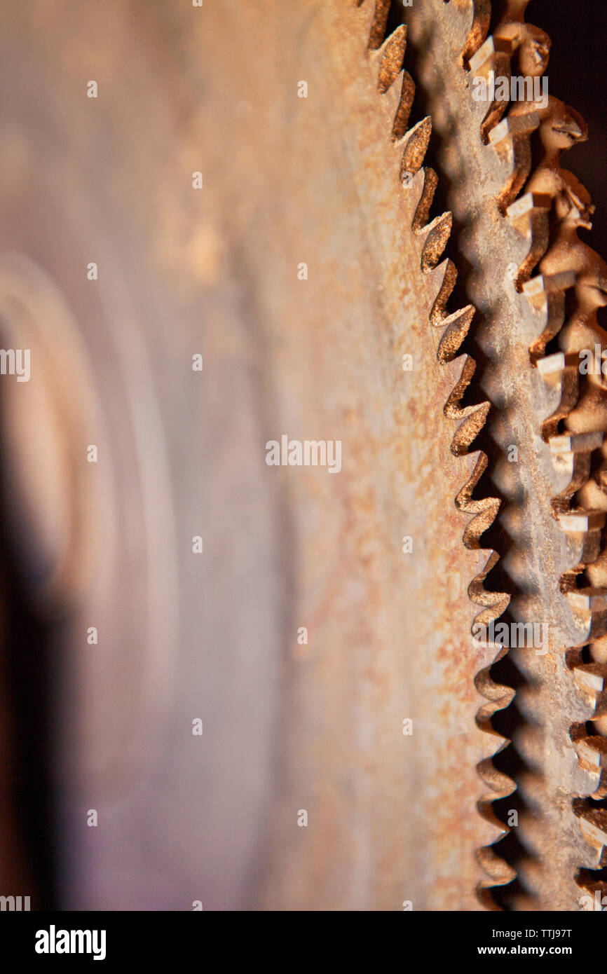 Cropped image of circular saw Stock Photo