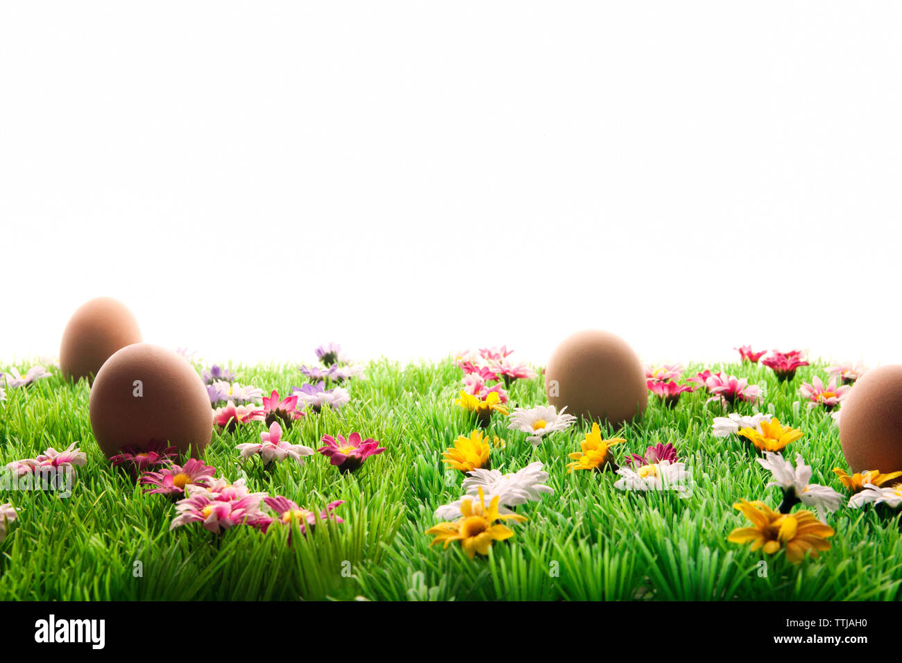 easter eggs on grass against white background Stock Photo