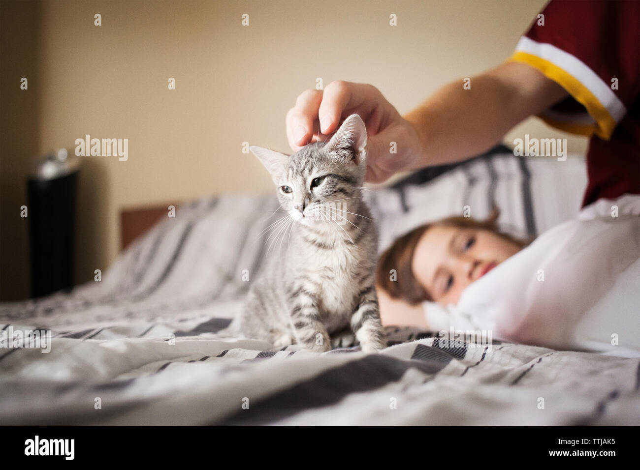 Sibling with kitten on bed at home Stock Photo