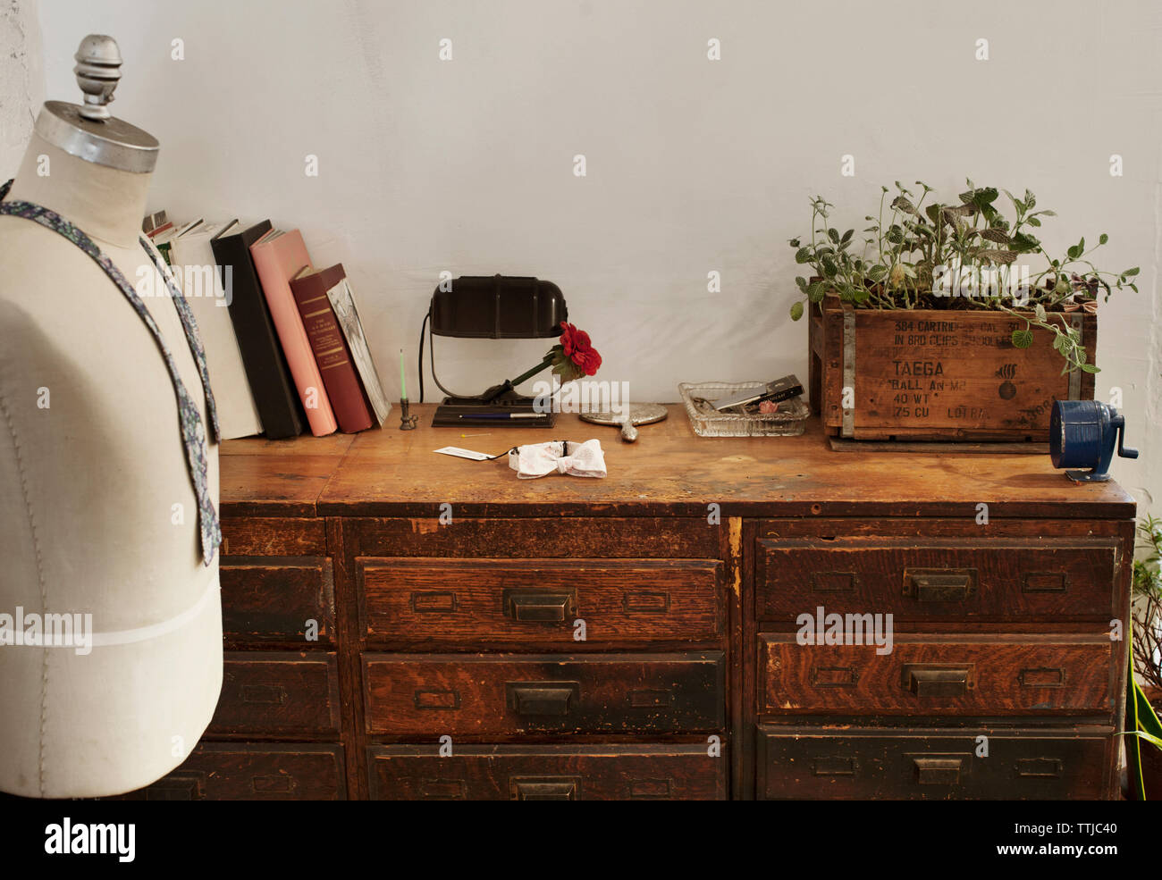 Seedling on table by mannequin at home Stock Photo