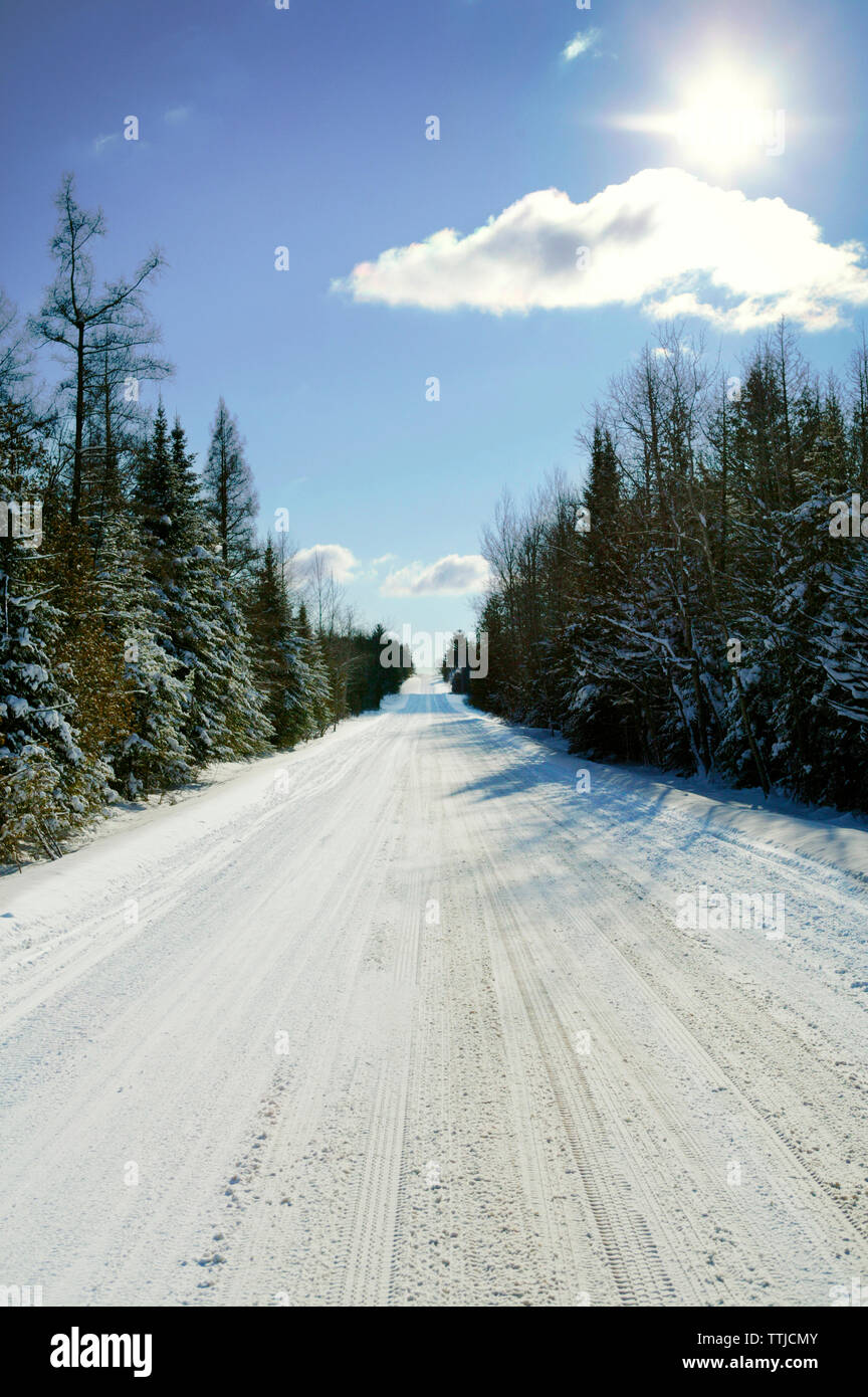 Snow covered road amidst trees against sky Stock Photo - Alamy