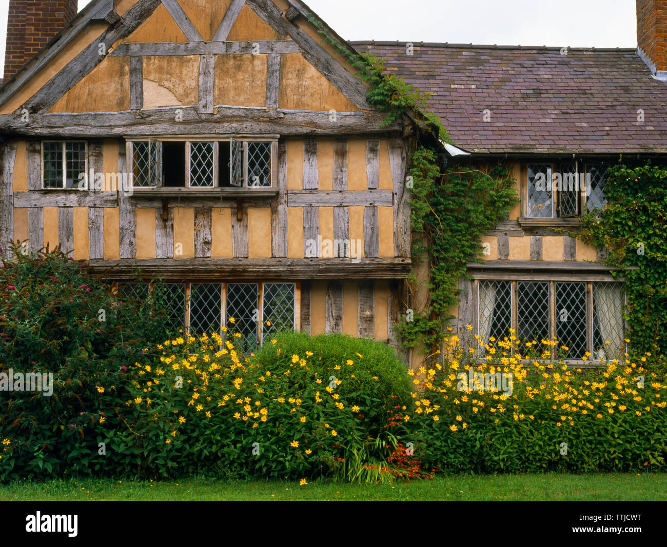 Detail view looking N at West End Farm Medieval (1425) hall house, Pembridge, Herefordshire, UK, on the Black and White Village Trail. Stock Photo