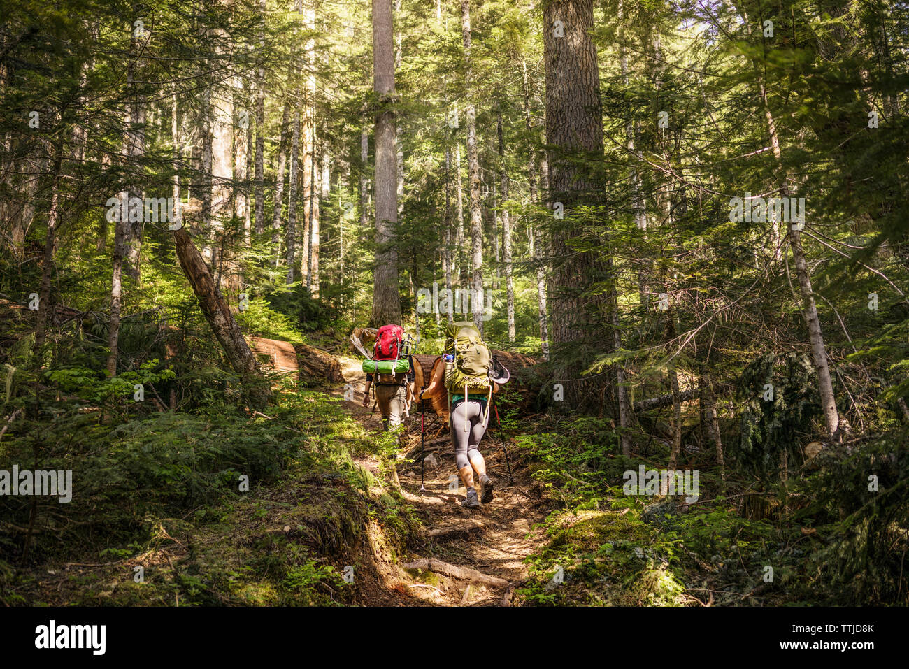 Two friends hiking hi-res stock photography and images - Alamy