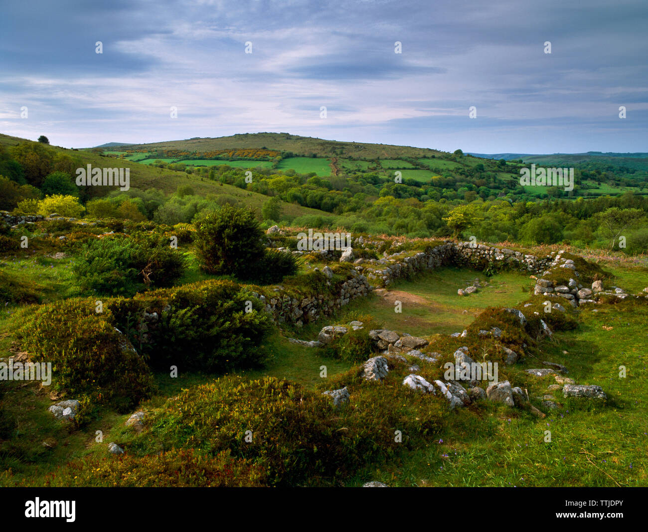 View N of one of the four C13th Dartmoor longhouses built of granite boulders at Hound Tor Deserted Medieval Village, Devon, UK. Stock Photo