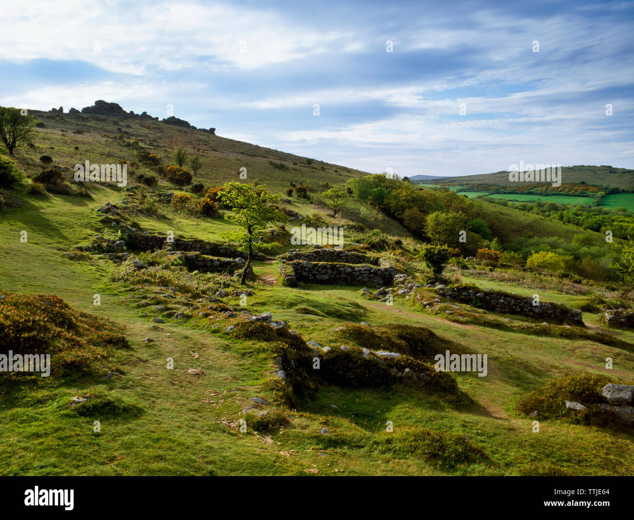 View NW over C13th Dartmoor longhouses built of granite boulders at Hound Tor Deserted Medieval Village, Devon, UK. A settlement of four farmsteads. Stock Photo