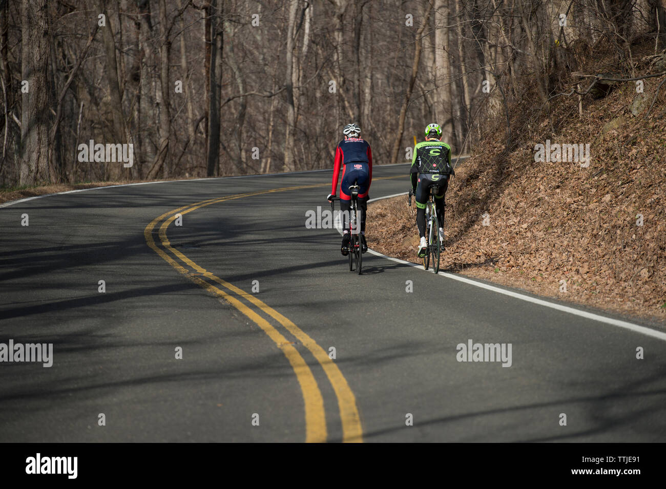 UNITED STATES - December 8, 2015: Pro cyclist Justin Mauch and Joe Dombrowski ride across Mt. Weather in the Blue Ridge Mountains of Virginia near Par Stock Photo