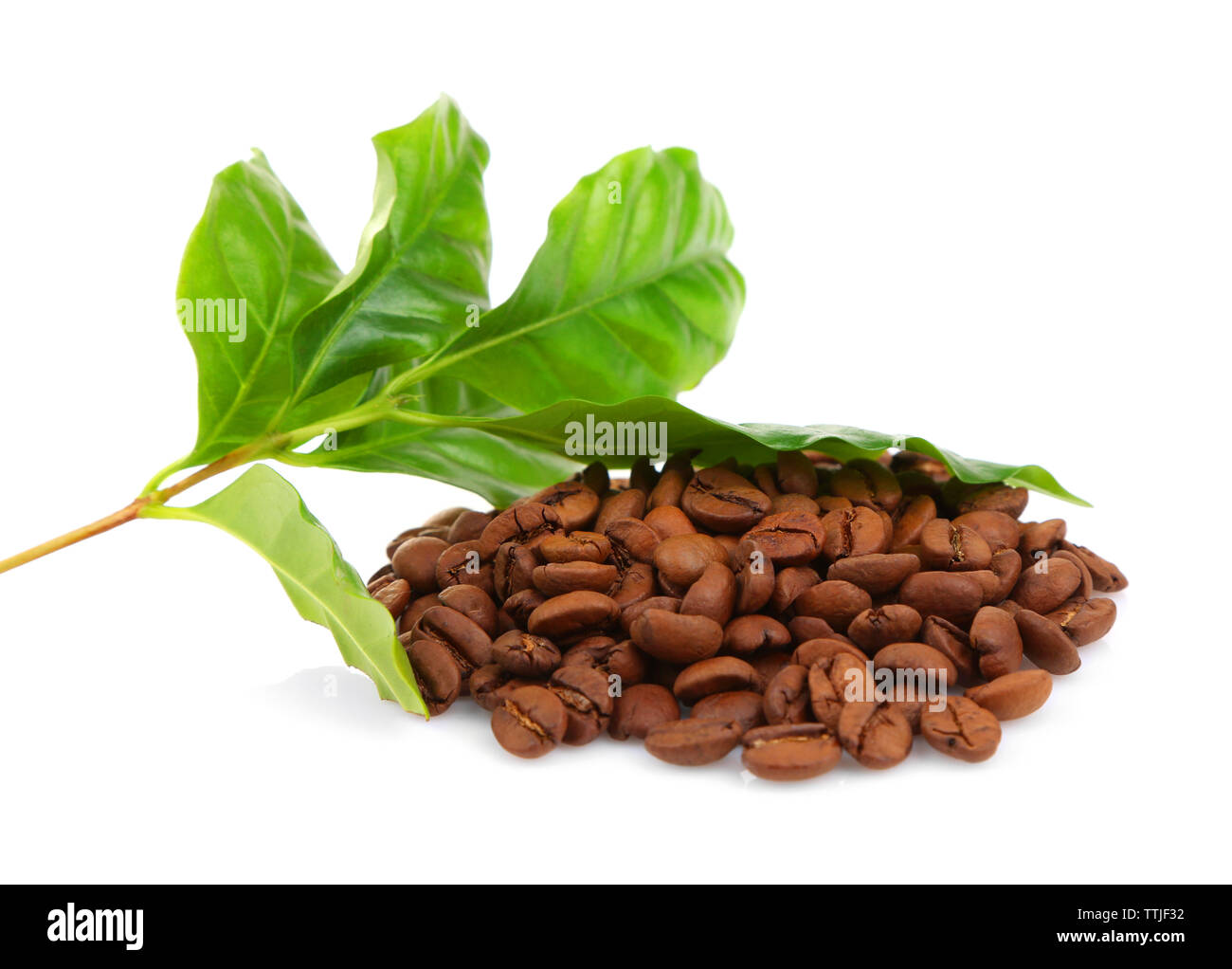 Coffee beans and green leaves, isolated on white Stock Photo - Alamy