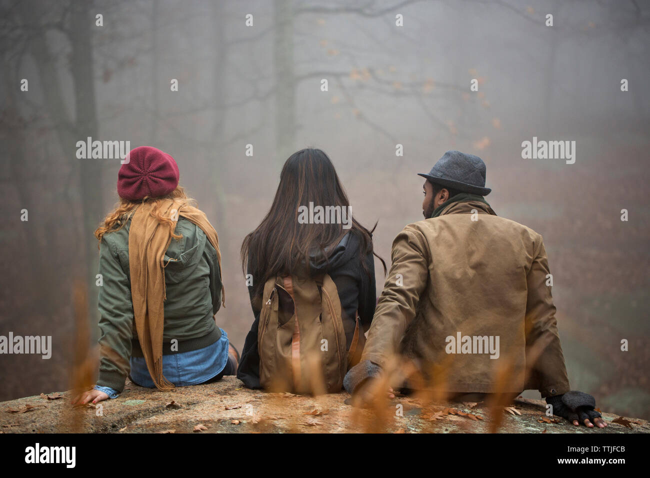 Rear view group friends hiking hi-res stock photography and images - Alamy
