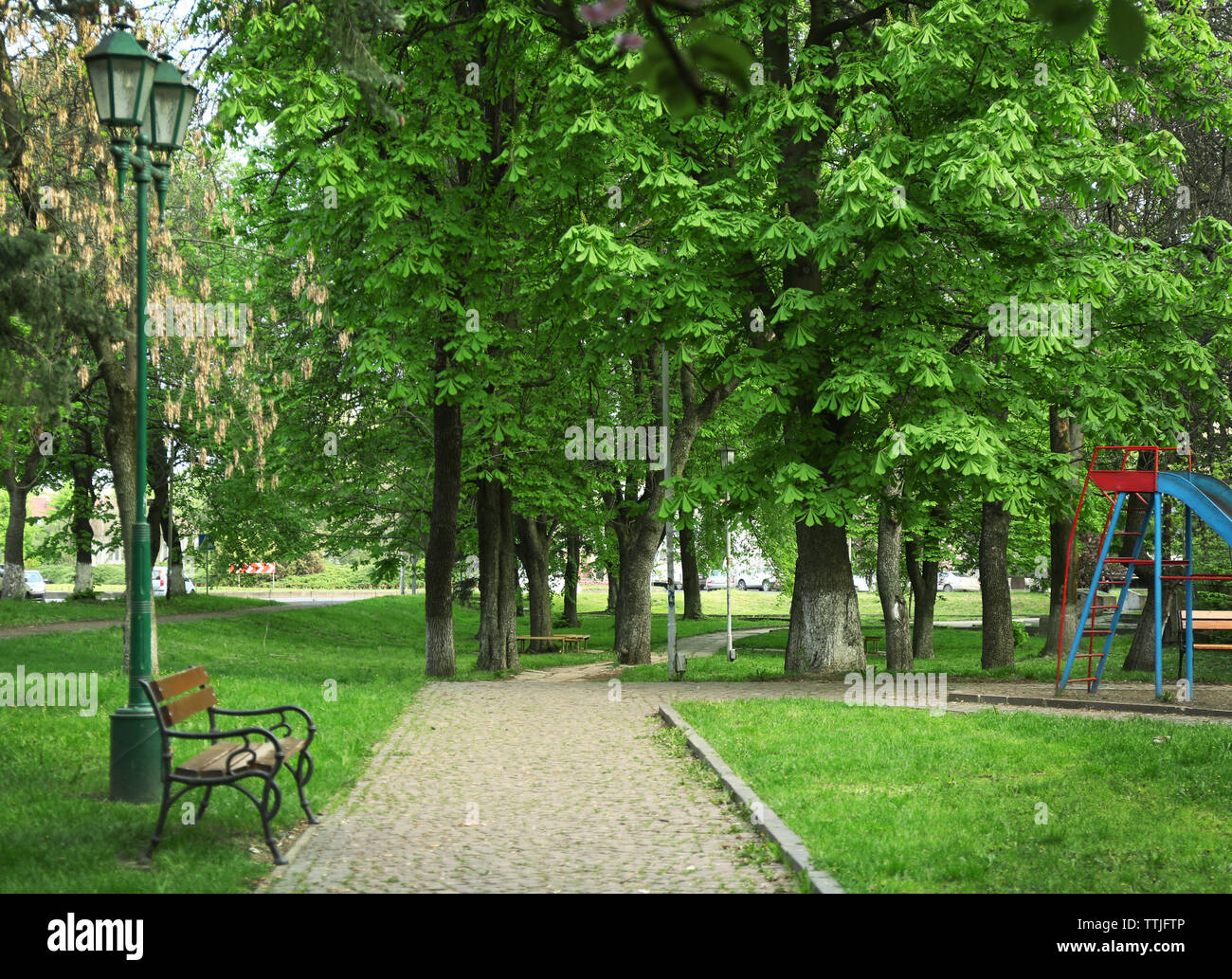 Paved road and bench in a green park Stock Photo - Alamy