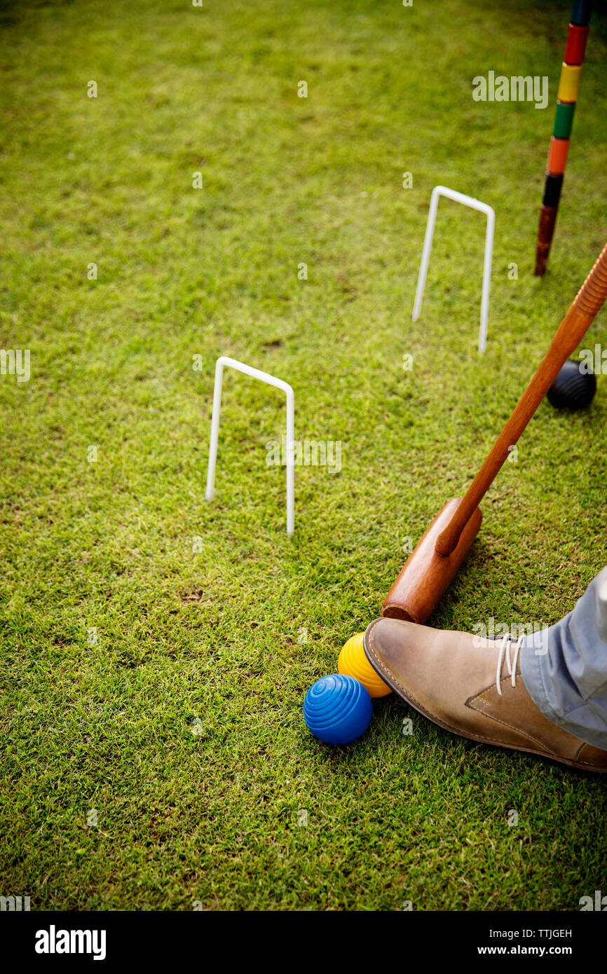 Croquet field hires stock photography and images Alamy