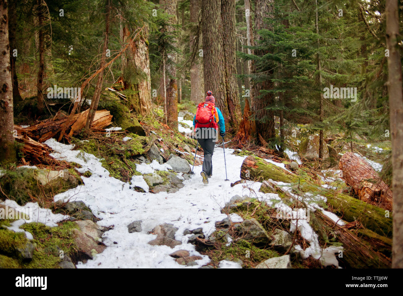 Female hiker hiking in cold hi-res stock photography and images - Alamy