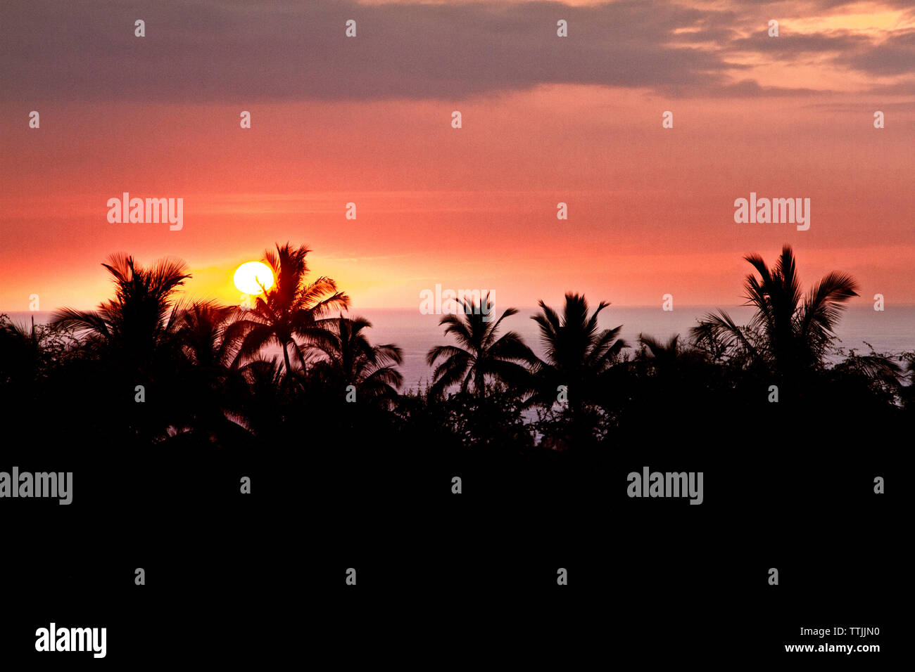 Scenic view of silhouette trees during sunset Stock Photo - Alamy