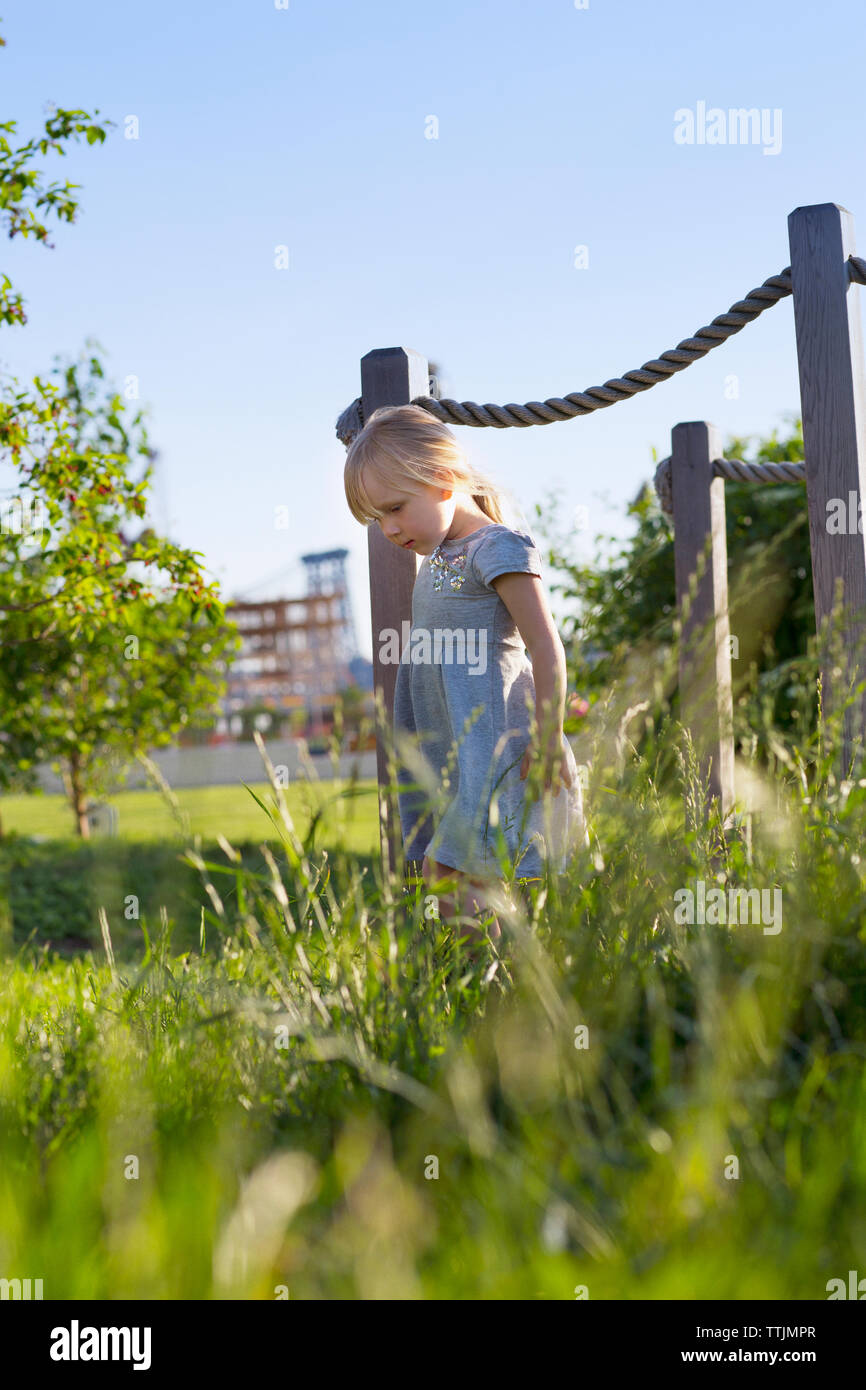 Girl looking down while walking on field at park Stock Photo Alamy