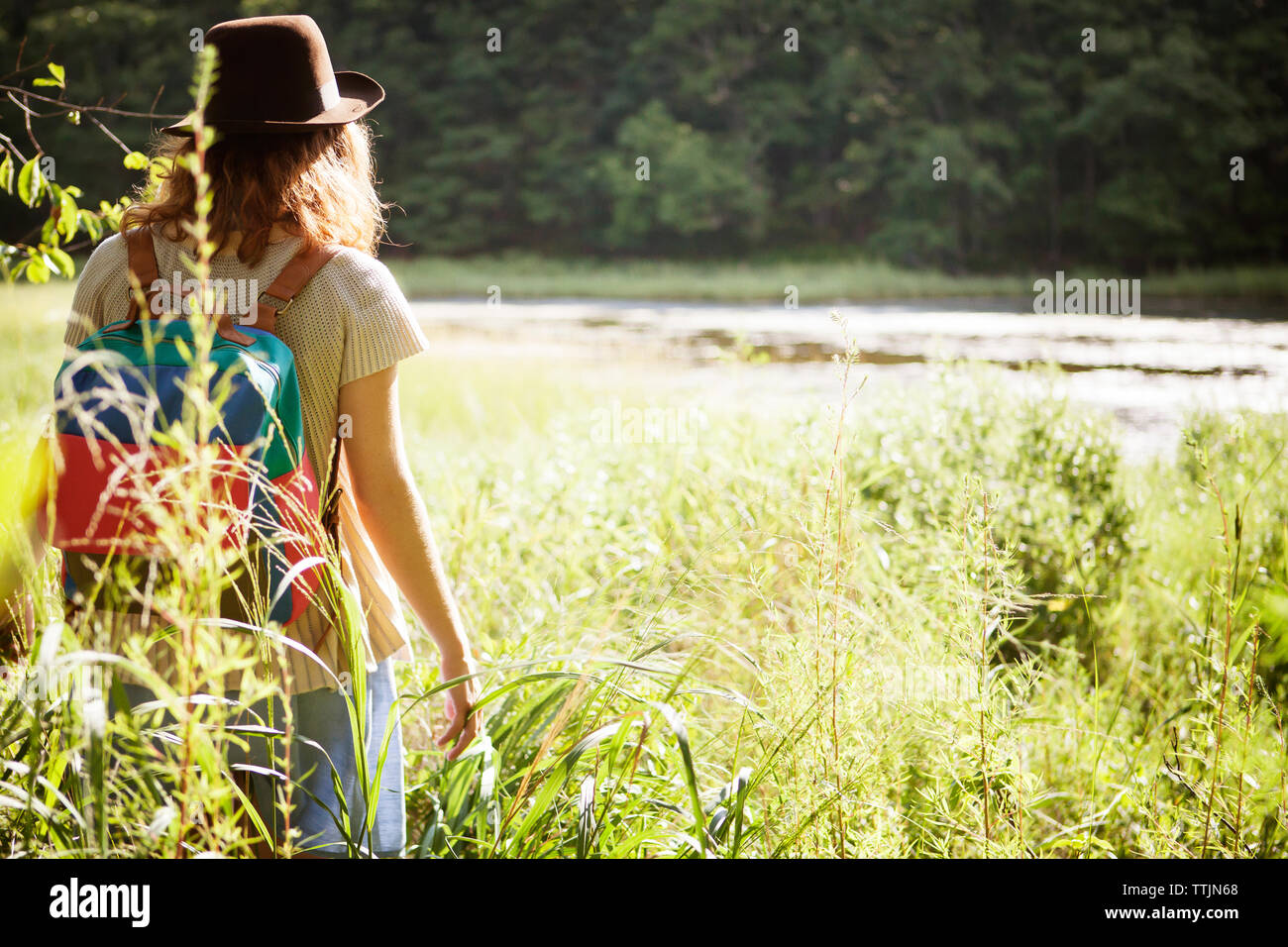 Woman forest sunlight trees hi-res stock photography and images - Alamy