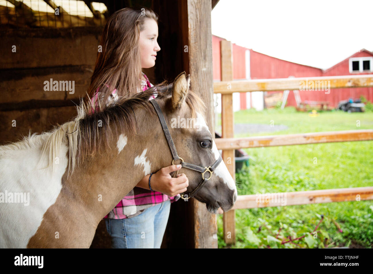 Teenage girl with horse looking away while standing in stable Stock ...