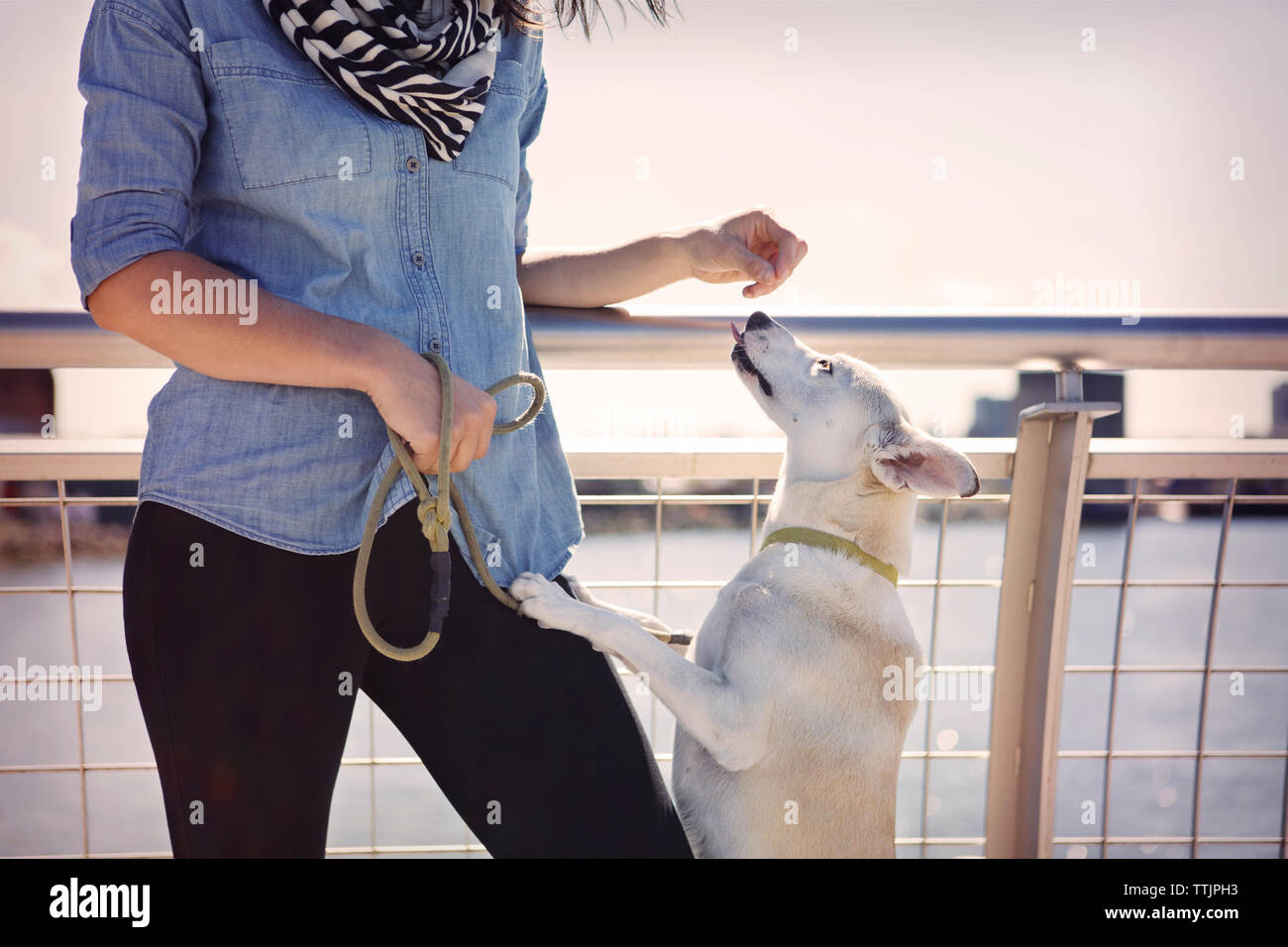 Dog rearing up on woman standing by railing against river Stock Photo