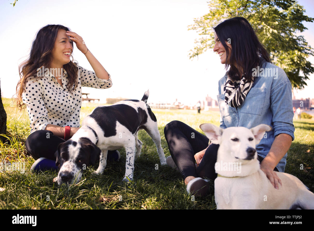 Happy women with dogs talking while resting on grassy field at park against clear sky Stock Photo