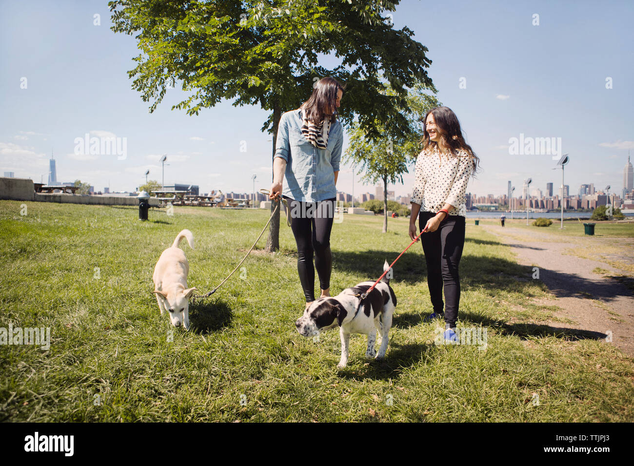Happy women walking with dogs on grassy field at park Stock Photo