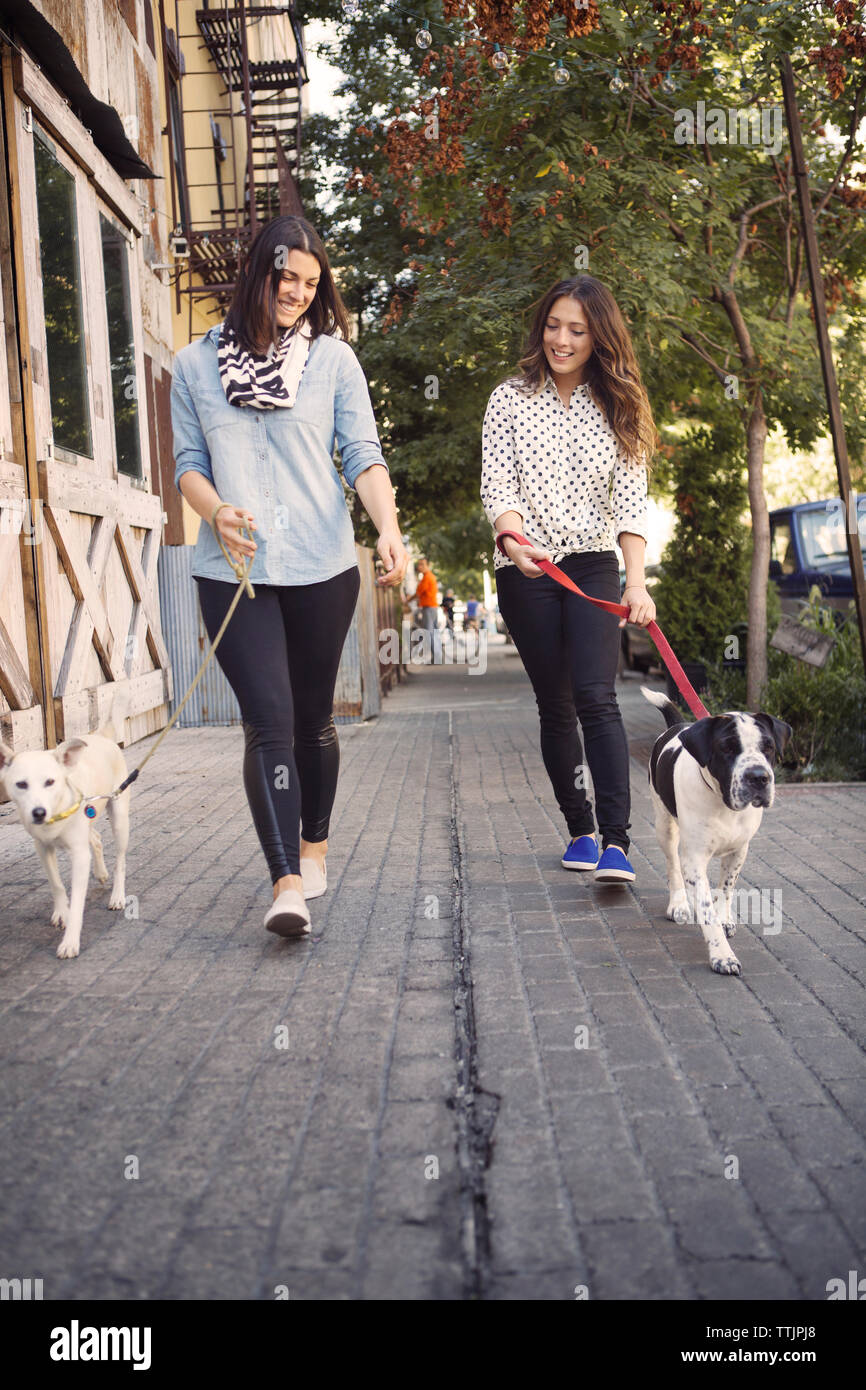 Smiling friends walking with dogs on sidewalk in city Stock Photo
