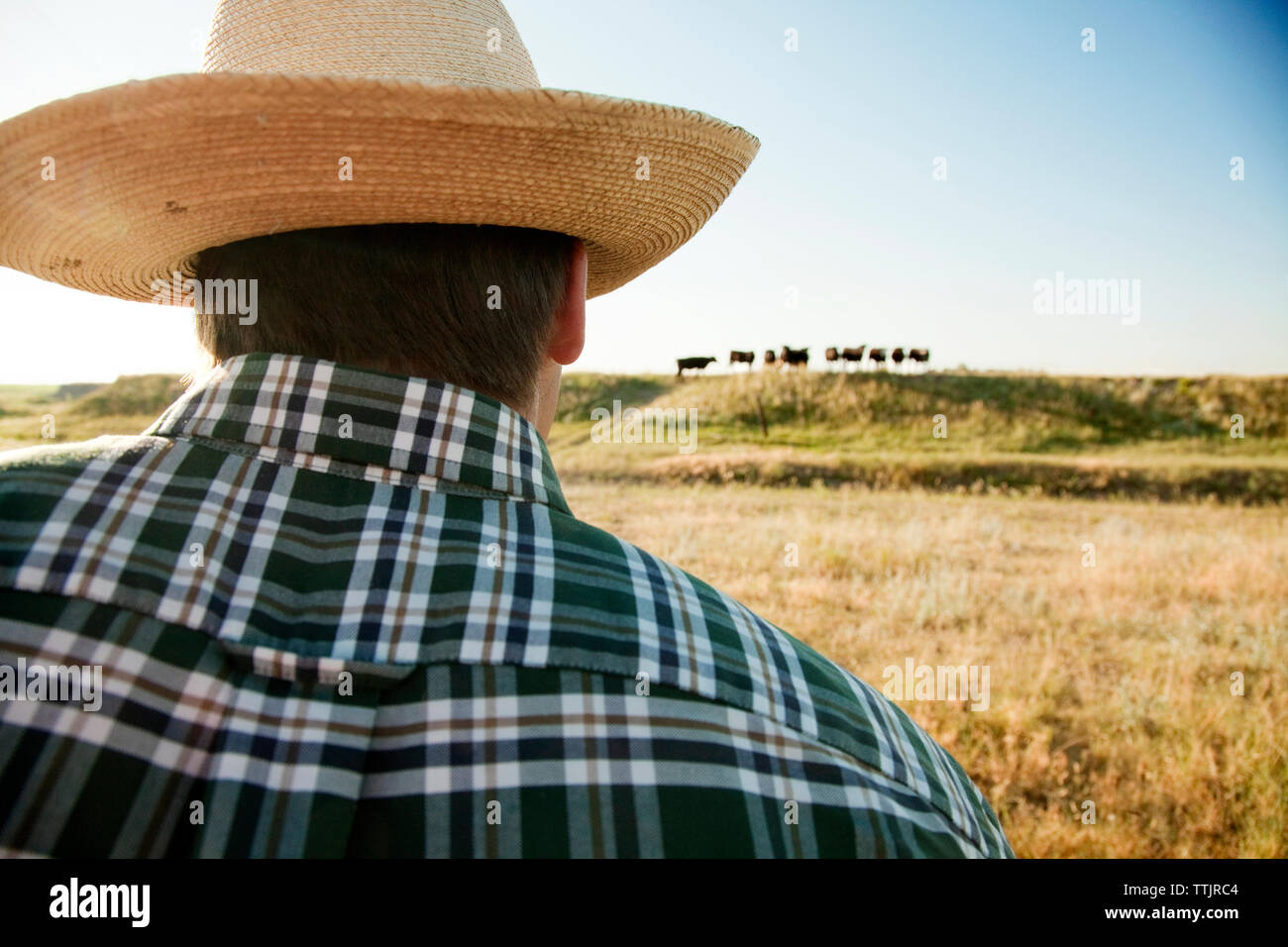 Cowboy sky hi-res stock photography and images - Alamy
