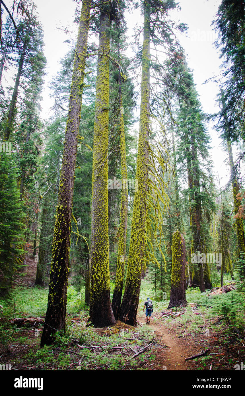 Rear hiker man walking hi-res stock photography and images - Alamy