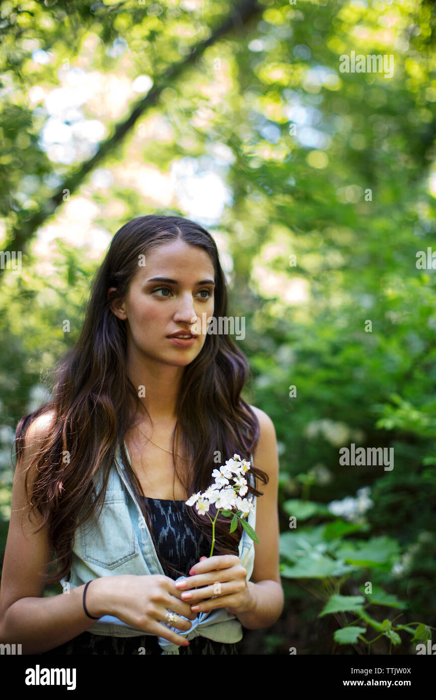 Thoughtful woman holding flowers while standing in forest Stock Photo