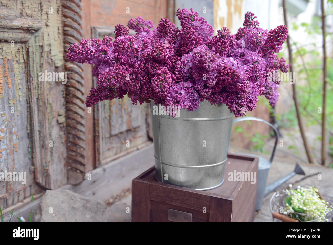 Purple Lilac In Metal Bucket On Porch Stock Photo Alamy
