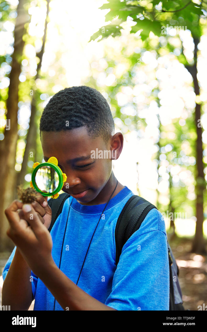 Boy examining seed while standing in forest Stock Photo
