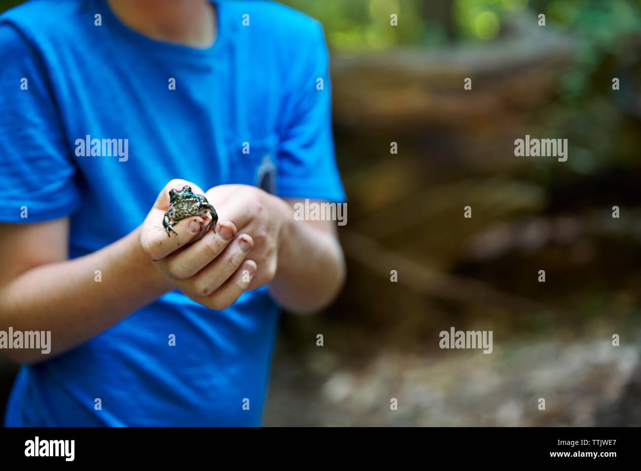 Midsection of boy holding frog in forest Stock Photo