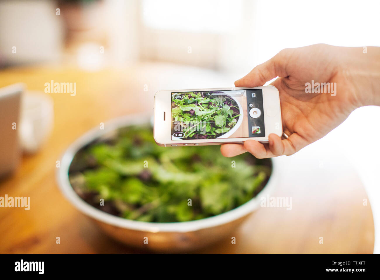 Cropped image of hand photographing leaf vegetable in bowl on table Stock Photo