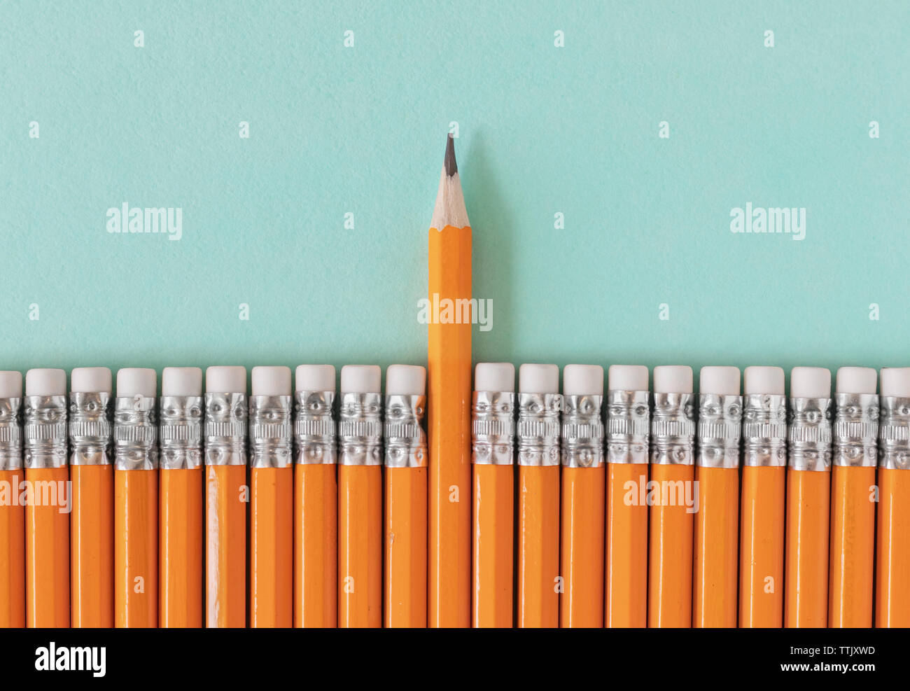 Row of orange pencils with one sharpened pencil. Leadership / standing out from a crowd concept with copy space. Stock Photo