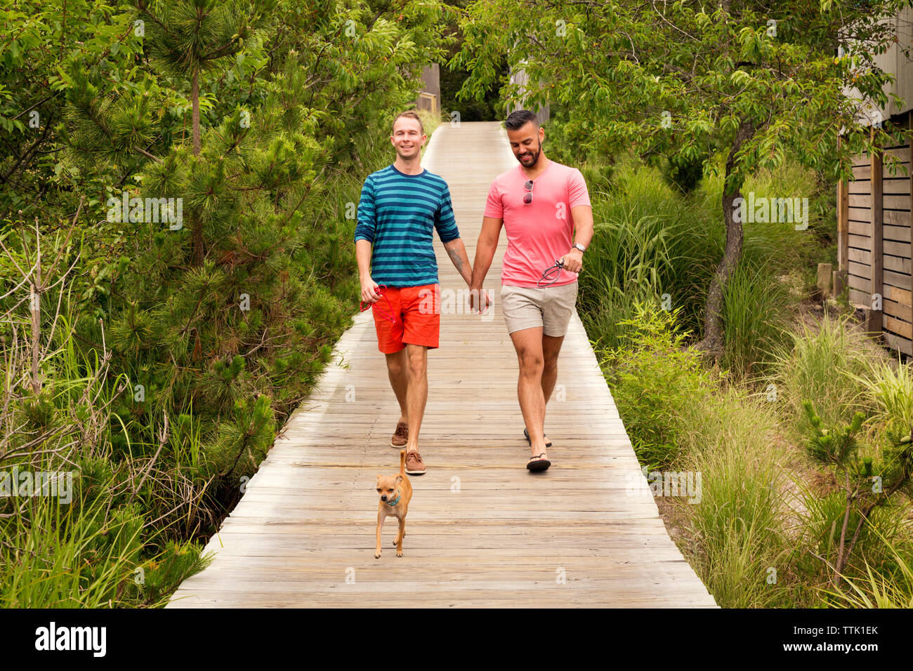 Happy homosexual couple talking while walking with Chihuahua on boardwalk Stock Photo