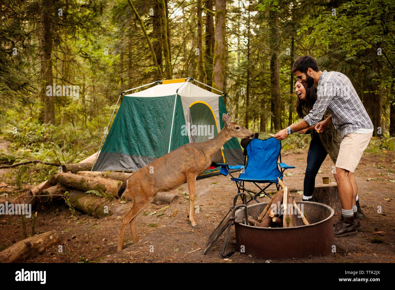 Cheerful couple feeding deer while standing by fire pit in forest Stock Photo