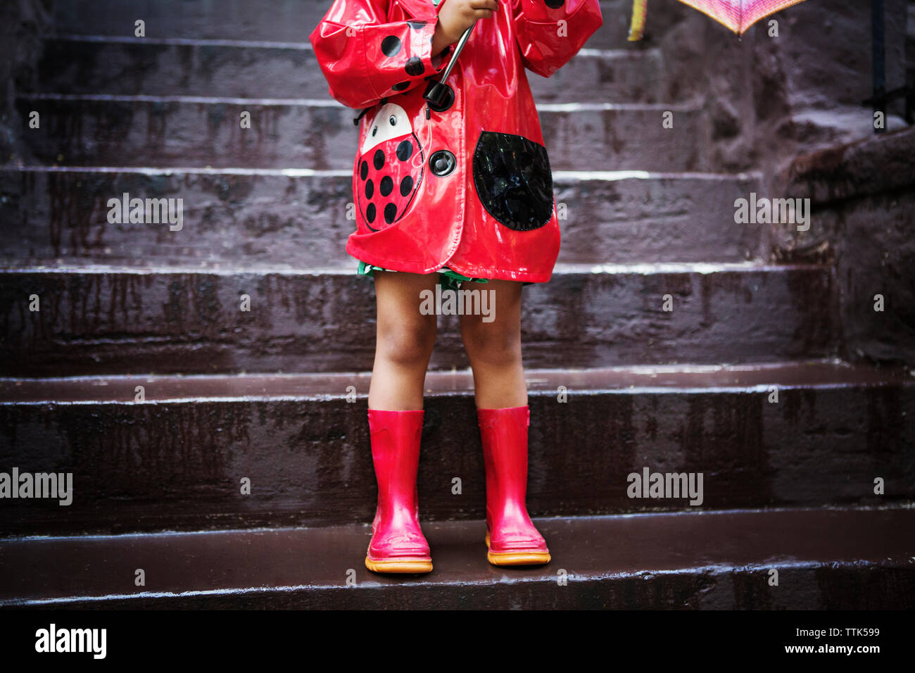 Ladybug raincoat deals and boots