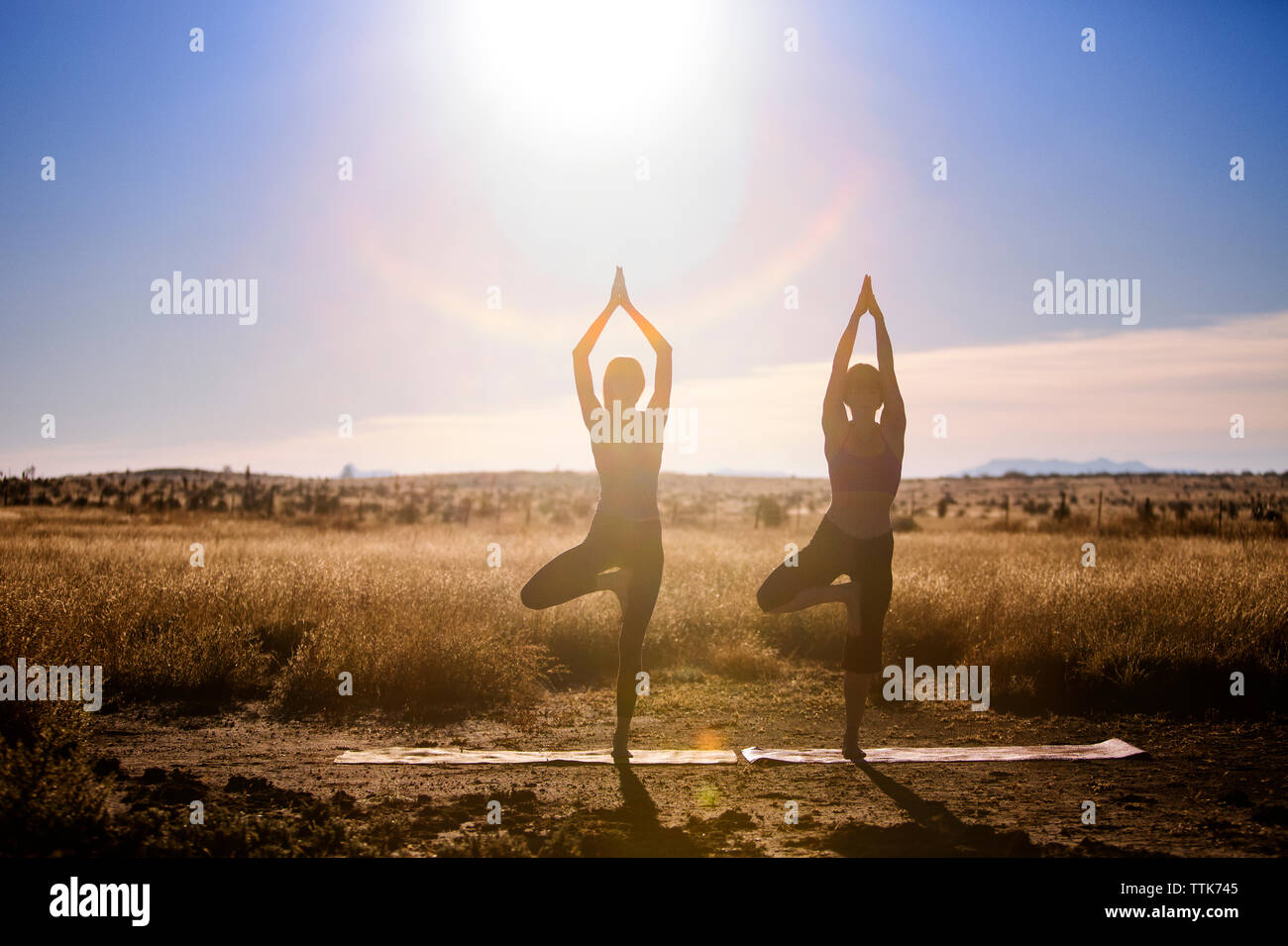 Women practicing yoga in tree pose on field Stock Photo