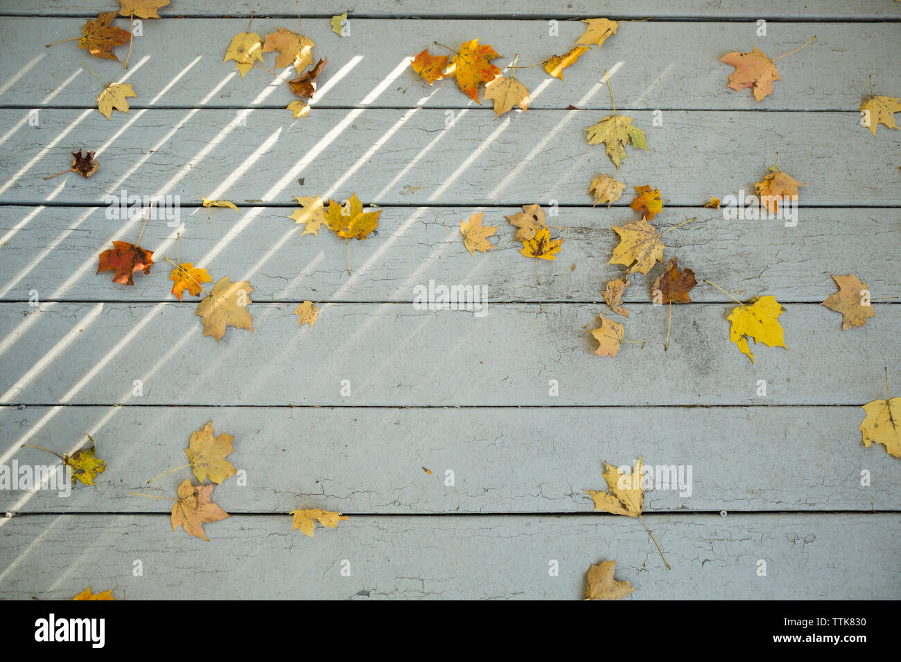 Beams of sunlight fall on porch with colorful leaves during Autumn Stock Photo