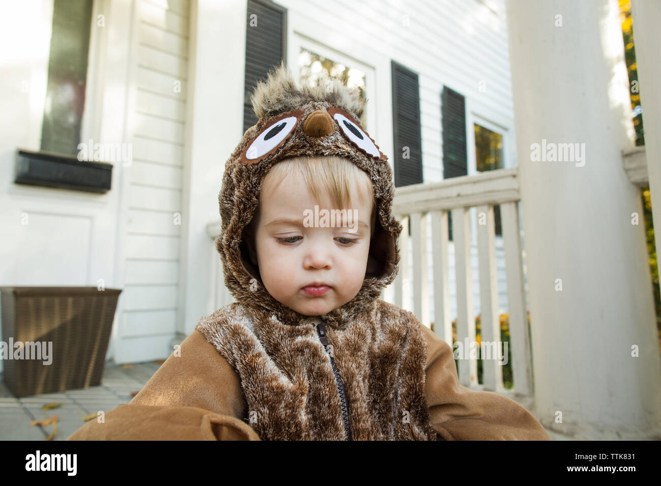 Portrait of cute baby boy dressed up as an owl for Halloween Stock Photo