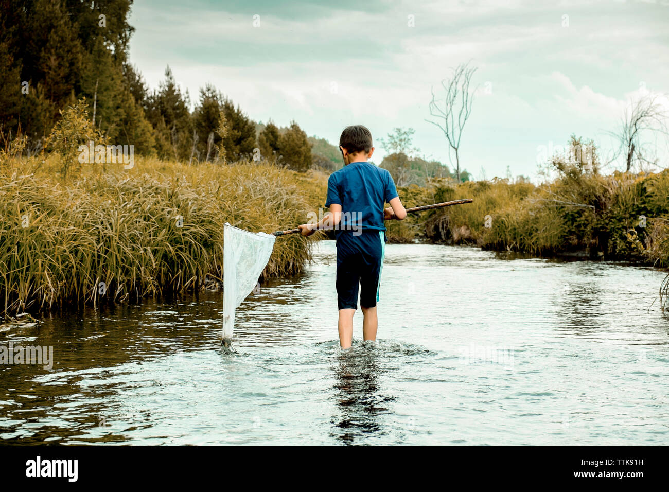 Rear view of boy holding butterfly fishing net while standing in lake ...
