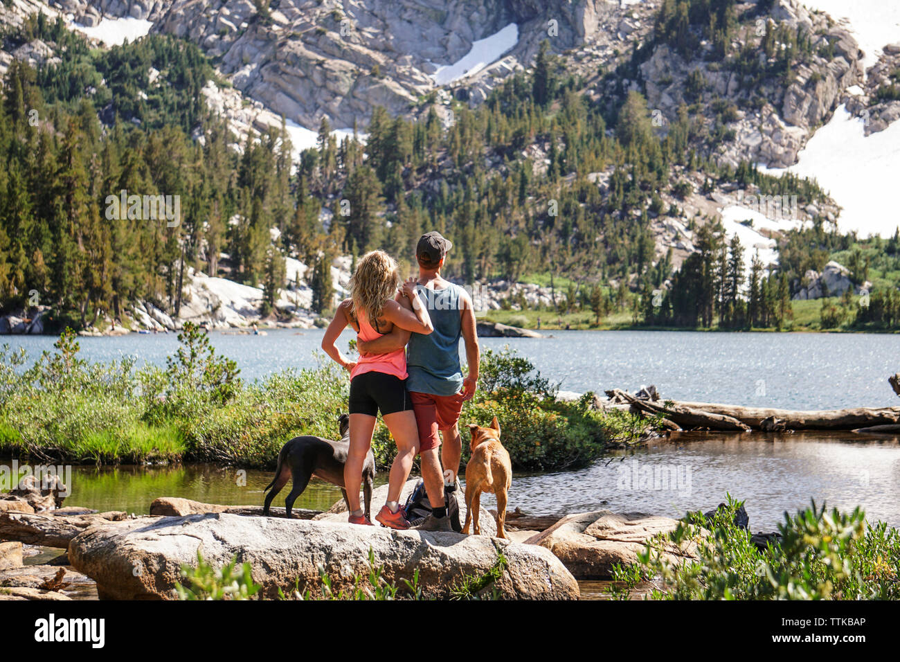 Rear view of couple with dogs looking at lake against mountain while standing on rocks in forest during sunny day Stock Photo