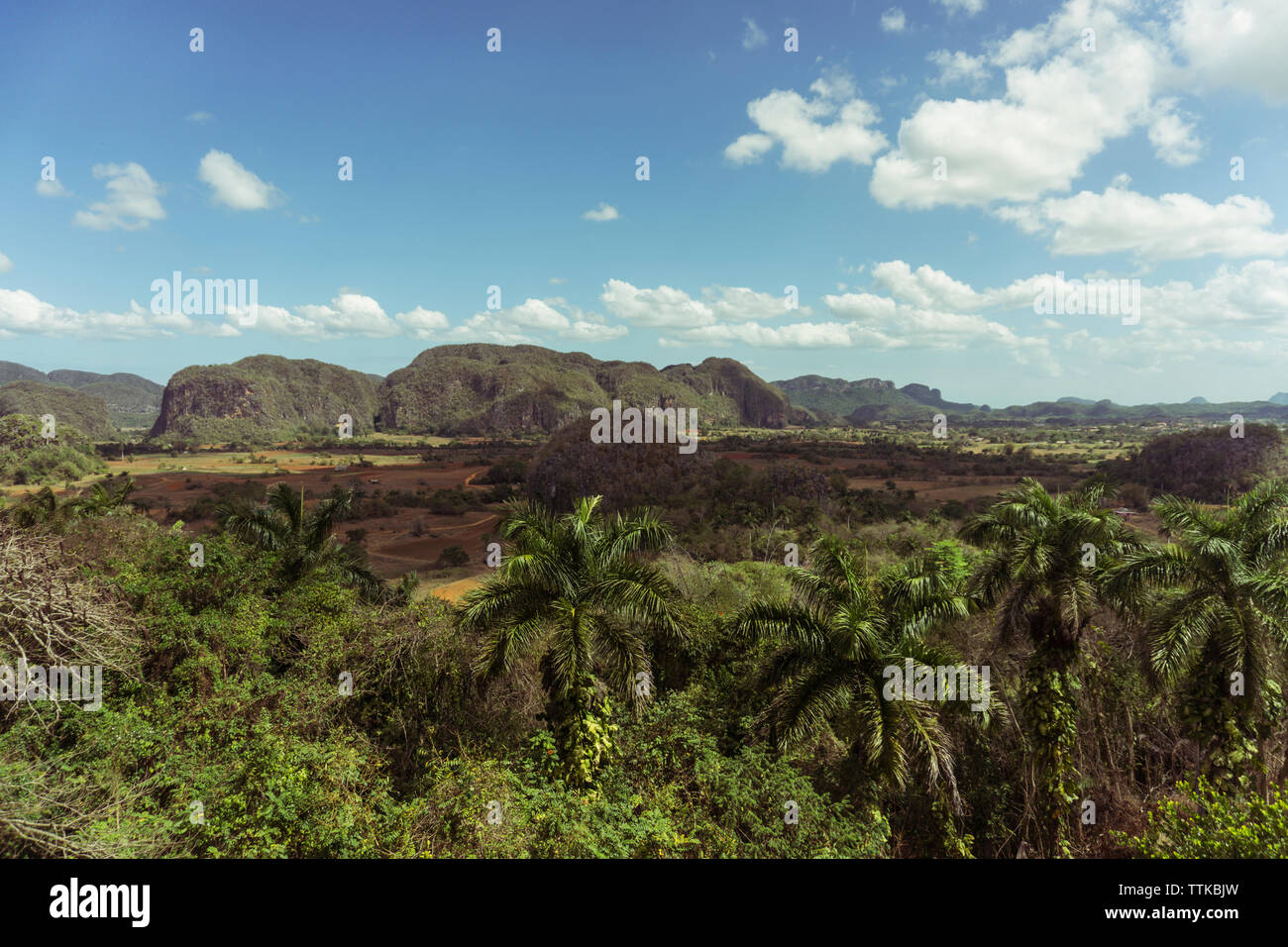 Tropical Cuban valley under blue skies Stock Photo