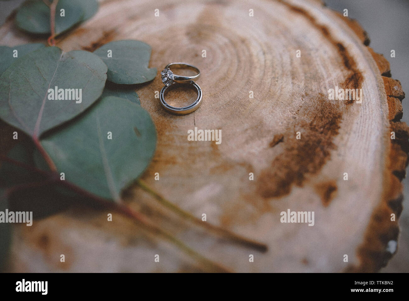 High angle view of wedding rings with leaves on tree stump Stock Photo