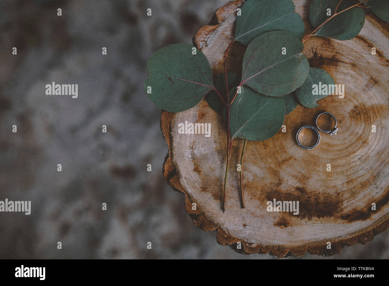 Overhead view of wedding rings with leaves on tree stump Stock Photo