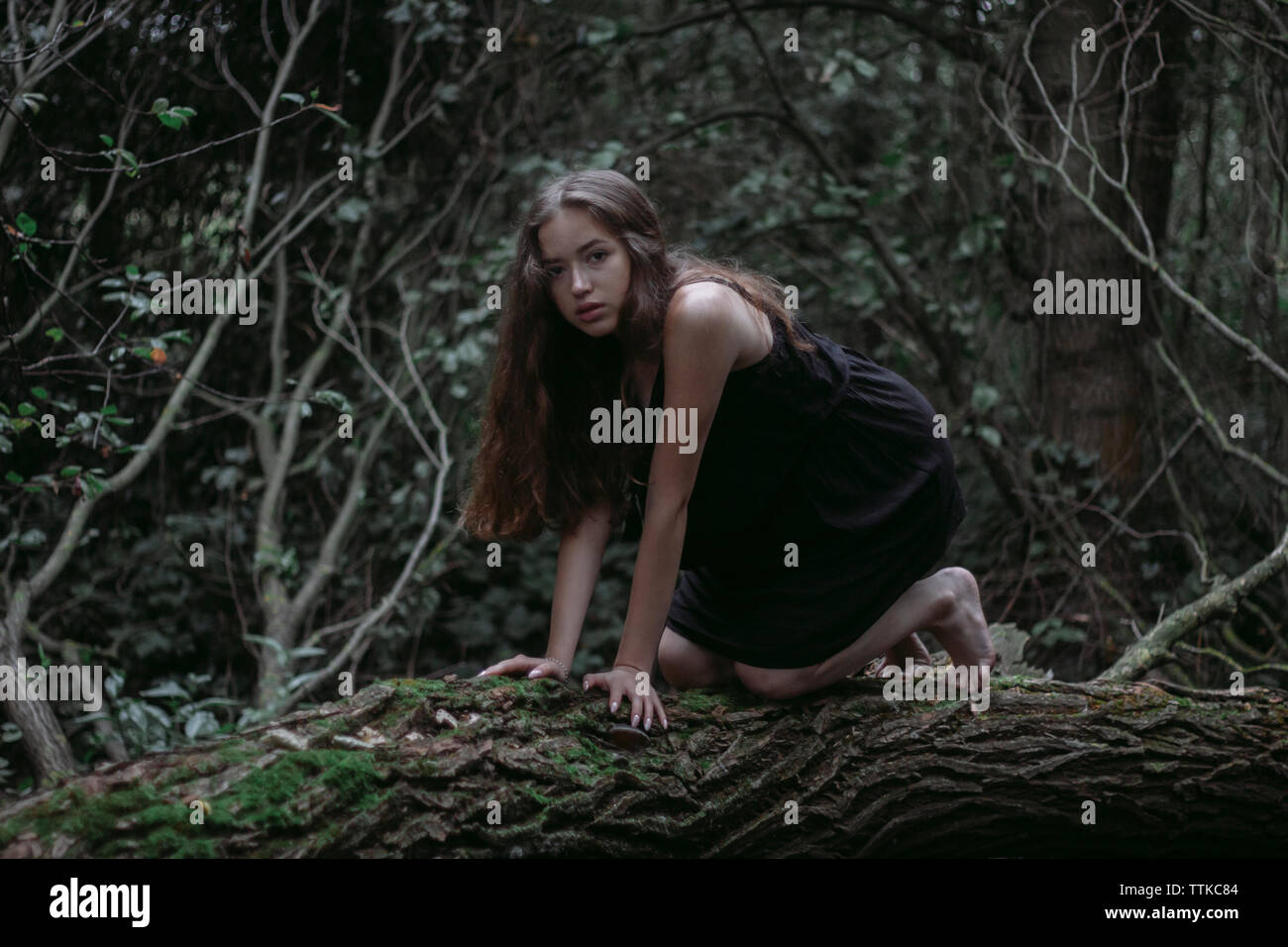 girl crawling on a tree on her knees Stock Photo Alamy
